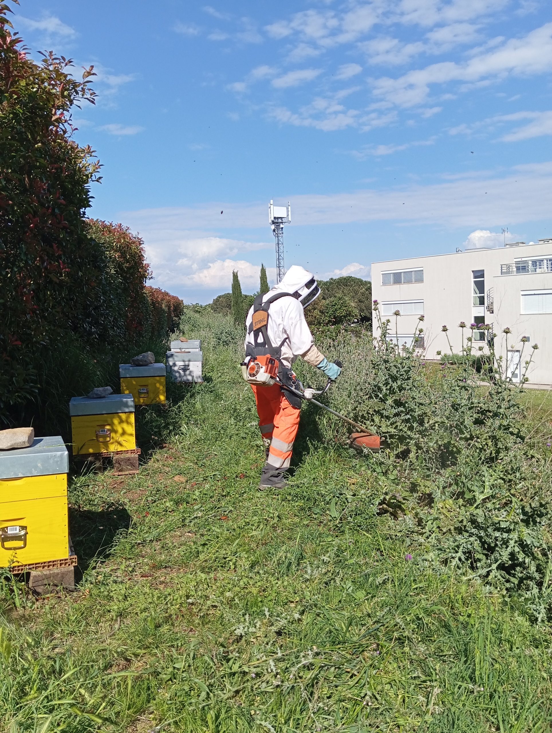 Entretien de printemps