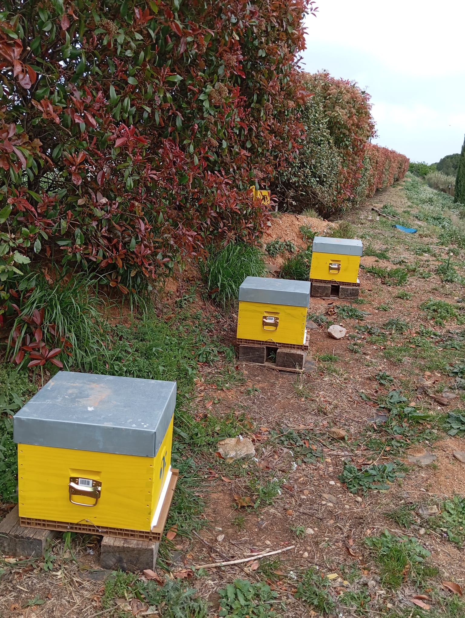 WhatsApp Image 2025-04-05 à 15.09.02_066a9e57