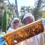 Observation des hausses